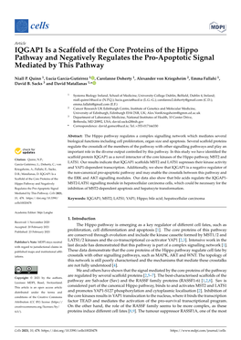 IQGAP1 Is a Scaffold of the Core Proteins of the Hippo Pathway and Negatively Regulates the Pro-Apoptotic Signal Mediated by This Pathway