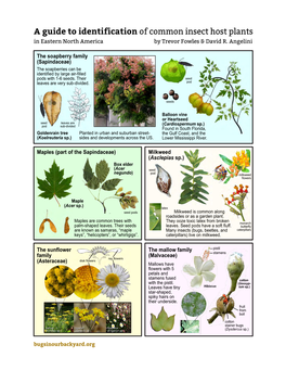 Host Plants in Eastern North America by Trevor Fowles & David R