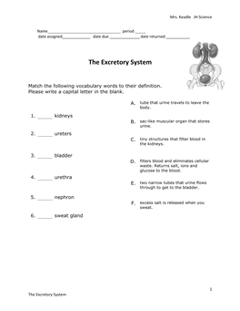 The Excretory System