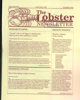 The Lobster Newsletter January 1992