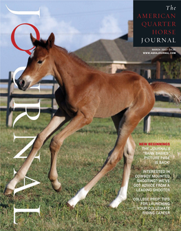 The AMERICAN ≤UARTER HORSE JOURNAL