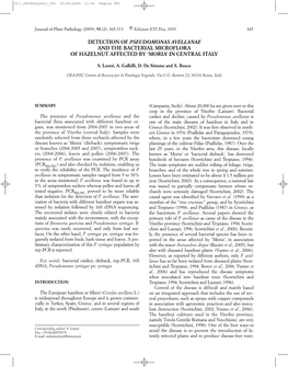 Detection of Pseudomonas Avellanae and the Bacterial Microflora of Hazelnut Affected by ‘Moria’ in Central Italy