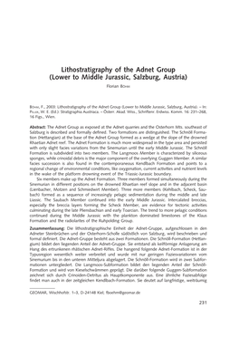 Lithostratigraphy of the Adnet Group (Lower to Middle Jurassic, Salzburg, Austria)