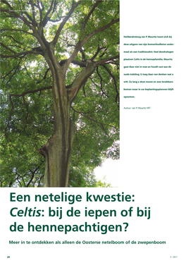 Een Netelige Kwestie: Celtis: Bij De Iepen of Bij De Hennepachtigen?