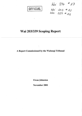 Wai 203/339 Scoping Report