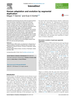 Human Adaptation and Evolution by Segmental Duplication