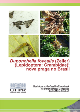 Duponchelia Fovealis (Zeller) (Lepidoptera: Crambidae): Nova Praga No Brasil