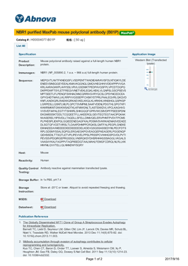 NBR1 Purified Maxpab Mouse Polyclonal Antibody (B01P)