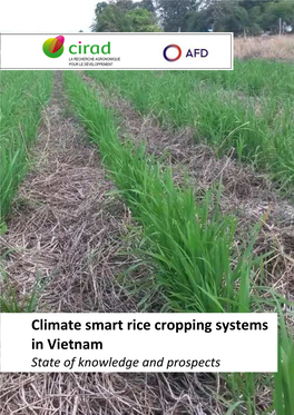 Climate Smart Rice Cropping Systems in Vietnam State of Knowledge and Prospects