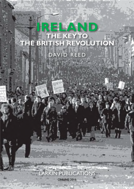 Ireland: the Key to the British Revolution