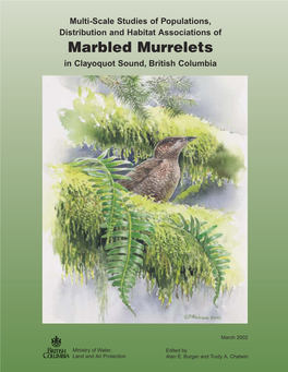 Multi-Scale Studies of Populations, Distribution and Habitat Associations of Marbled Murrelets in Clayoquot Sound, British Columbia