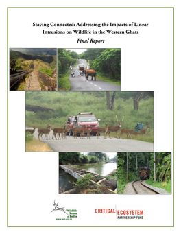Addressing the Impacts of Linear Intrusions on Wildlife in the Western Ghats