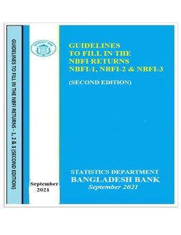Guidelines to Fill in the Nbfi Returns-1, 2 & 3