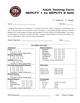 DEPUTY 1 to DEPUTY 2 Belt