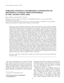 Foraging Strategy and Breeding Constraints of Rhinophylla Pumilio (Phyllostomidae) in the Amazon Lowlands