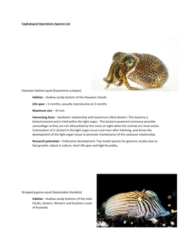 Cephalopod Operations Species List Hawaiian Bobtail Squid (Eurprymna Scolopes) Habitat – Shallow Sandy Bottom of the Hawaiia