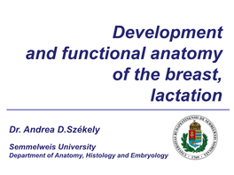 Clinical Anatomy of the Breast