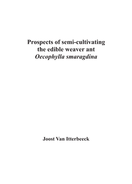 Prospects of Semi-Cultivating the Edible Weaver Ant Oecophylla Smaragdina