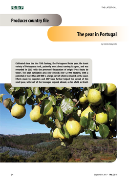 The Pear in Portugal