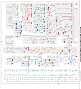 Generate Metabolic Map Poster