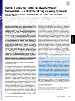 Ipdab, a Virulence Factor in Mycobacterium Tuberculosis