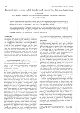 Taxonomic Notes on Some Orchids from the South-Western Cape Province, South Mrica