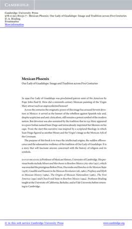 Mexican Phoenix: Our Lady of Guadalupe: Image and Tradition Across Five Centuries D