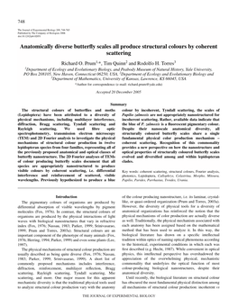 Anatomically Diverse Butterfly Scales All Produce Structural Colours By