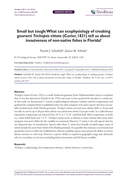 What Can Ecophysiology of Croaking Gourami Trichopsis Vittata