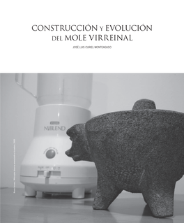 Construcción Y Evolución Del Mole Virreinal