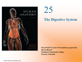 The Digestive System