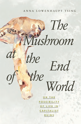 Mushroom at the End of the World