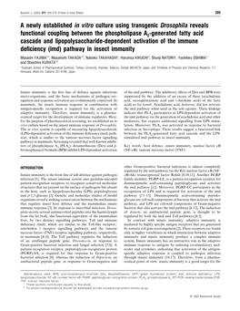 A Newly Established in Vitro Culture Using Transgenic Drosophila