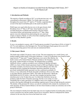 Report on Beetles (Coleoptera) Recorded from the Dartington Hall Estate, 2017 by Dr Martin Luff