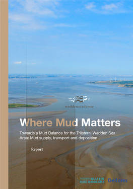 Report Towards a Mud Balance for the Trilateral Wadden Sea Area: Mud Supply, Transport and Deposition