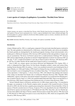 Zootaxa, a New Species of Antigius (Lepidoptera: Lycaenidae: Theclini