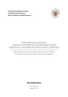 Transcriptional Profile of Human Anti-Inflammatory Macrophages Under Homeostatic, Activating and Pathological Conditions