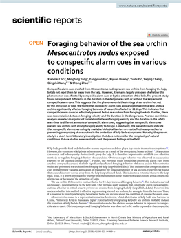 Foraging Behavior of the Sea Urchin Mesocentrotus Nudus Exposed To