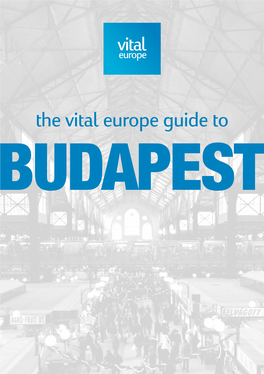 The Vital Europe Guide to Royal Palace, Buda Castle