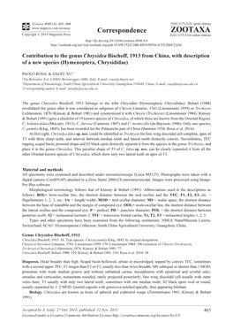 Contribution to the Genus Chrysidea Bischoff, 1913 from China, with Description of a New Species (Hymenoptera, Chrysididae)