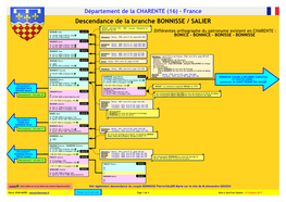 Descendance De La Branche BONNISSE / SALIER