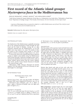 First Record of the Atlantic Island Grouper Mycteroperca Fusca in The