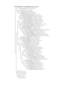 Leiothrichidae Species Tree