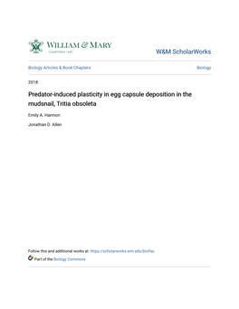 Predator-Induced Plasticity in Egg Capsule Deposition in the Mudsnail, Tritia Obsoleta