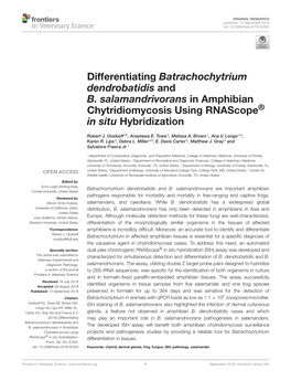 Differentiating Batrachochytrium Dendrobatidis and B. Salamandrivorans in Amphibian Chytridiomycosis Using Rnascope® in Situ Hybridization