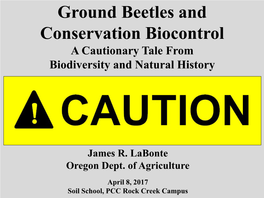 Ground Beetles and Conservation Biocontrol a Cautionary Tale from Biodiversity and Natural History