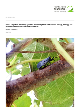 Spotted Lanternfly, Lycorma Delicatula (White 1845) Review: Biology, Ecology and Pest Management with Reference to Kiwifruit