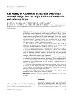 Life History of Kladothrips Ellobus and Oncothrips Rodwayi: Insight Into the Origin and Loss of Soldiers in Gall-Inducing Thrips