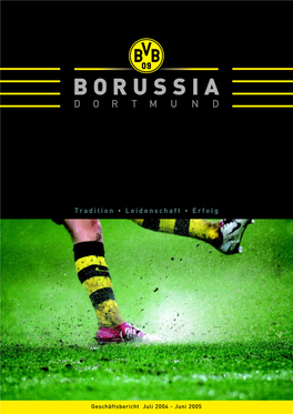 Jahresabschluss Und Lagebericht Der Borussia Dortmund Gmbh & Co