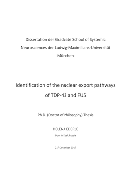 Identification of the Nuclear Export Pathways of TDP‐43 and FUS